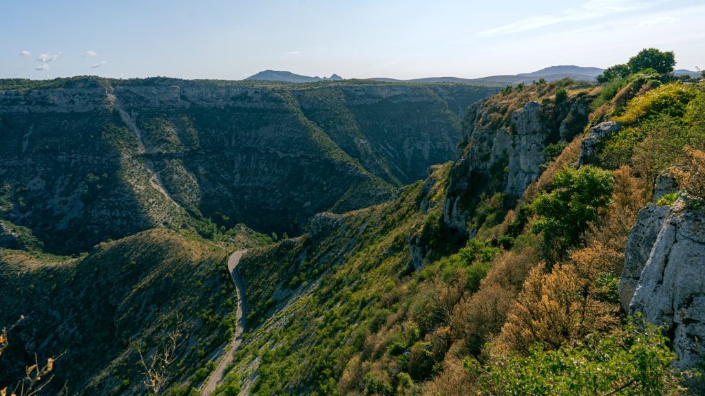 cevennes