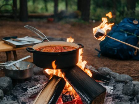 "10 astuces pour cuisiner de délicieux repas en camping ou en van"